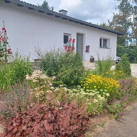 B&B Manderscheid-Blick Pantenburg Екстериор снимка