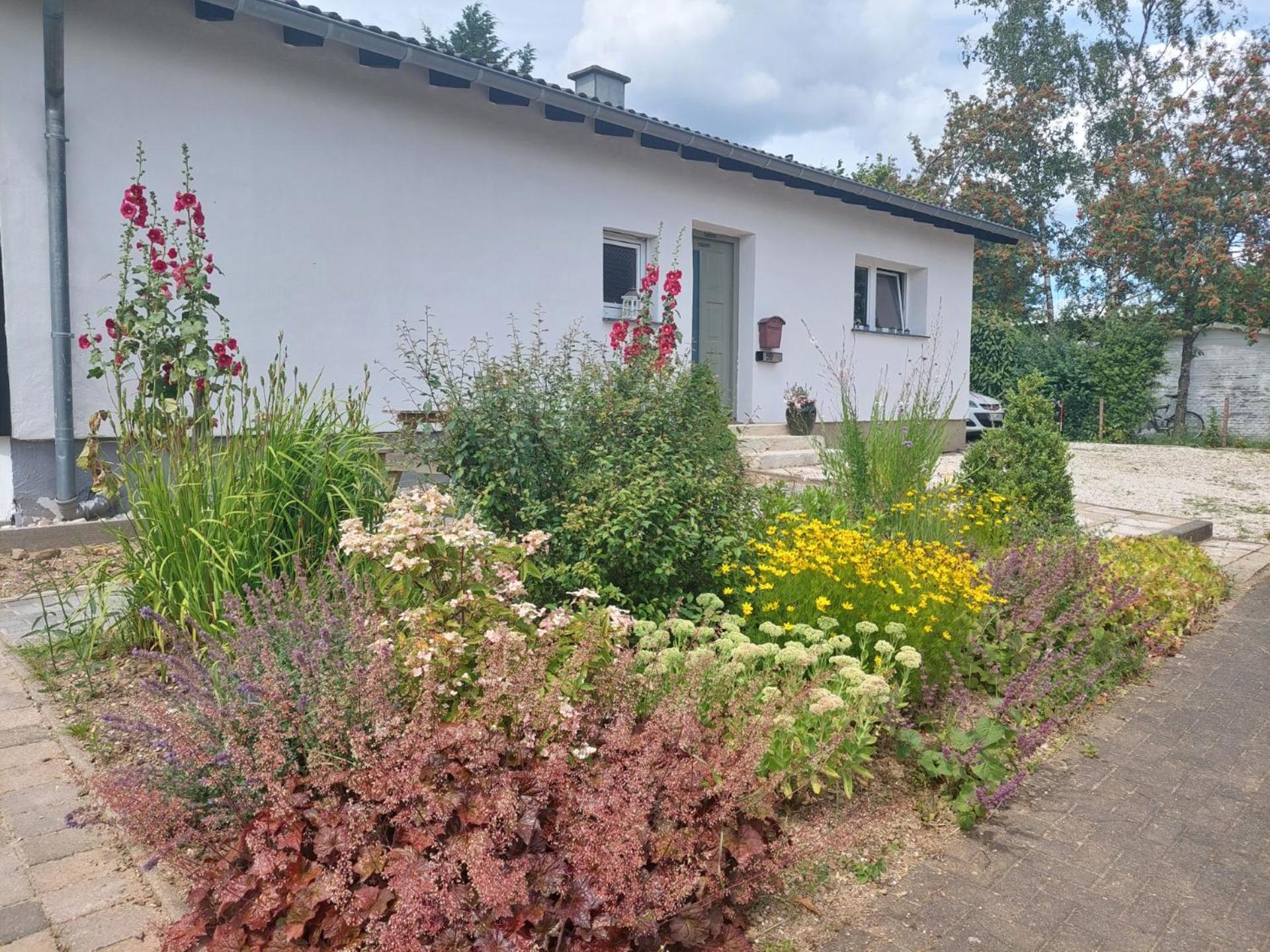B&B Manderscheid-Blick Pantenburg Екстериор снимка